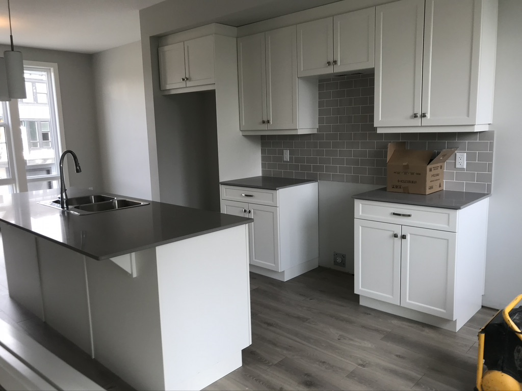 kitchen renovation